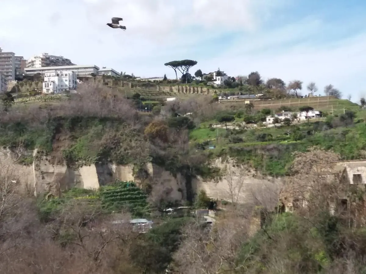 Nocleg ze śniadaniem B&B Napoli Leggendaria
